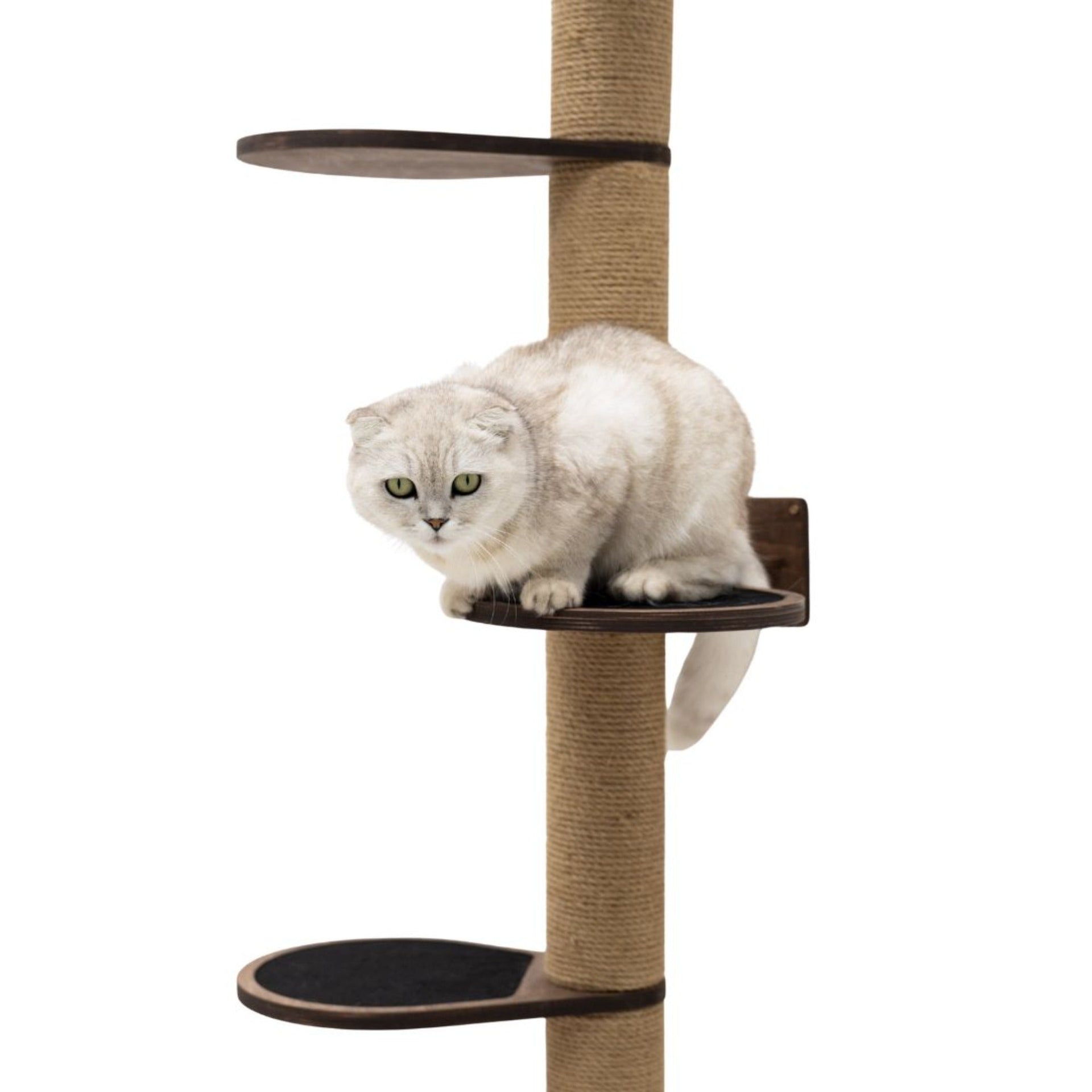 Large Cat Tree in Dark Walnut – Modern Minimalist Wall-Mounted Cat Tower