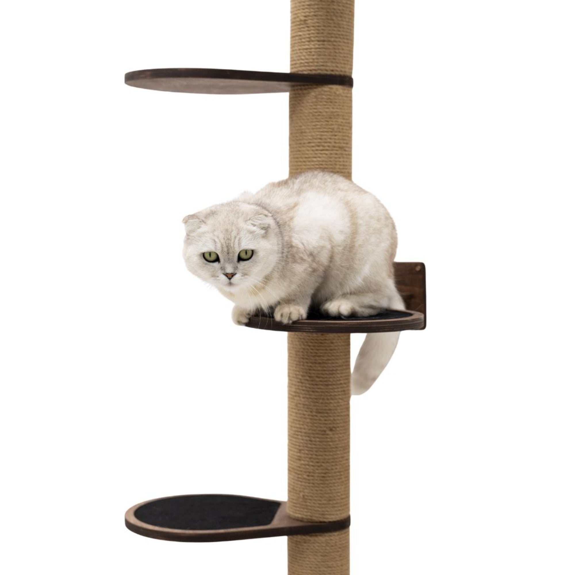 Large Cat Tree in Dark Walnut – Modern Minimalist Wall-Mounted Cat Tower