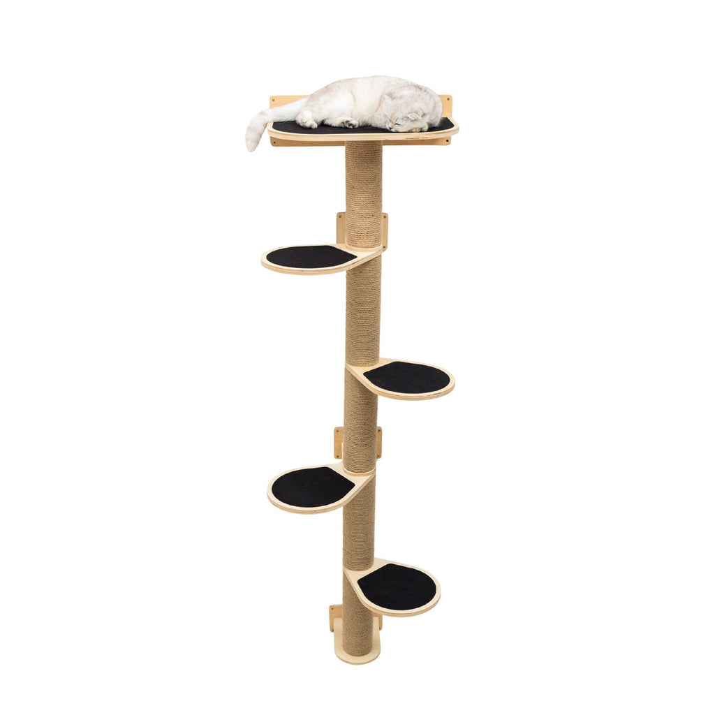 Minimalist light wood cat wall tree with black and beige details