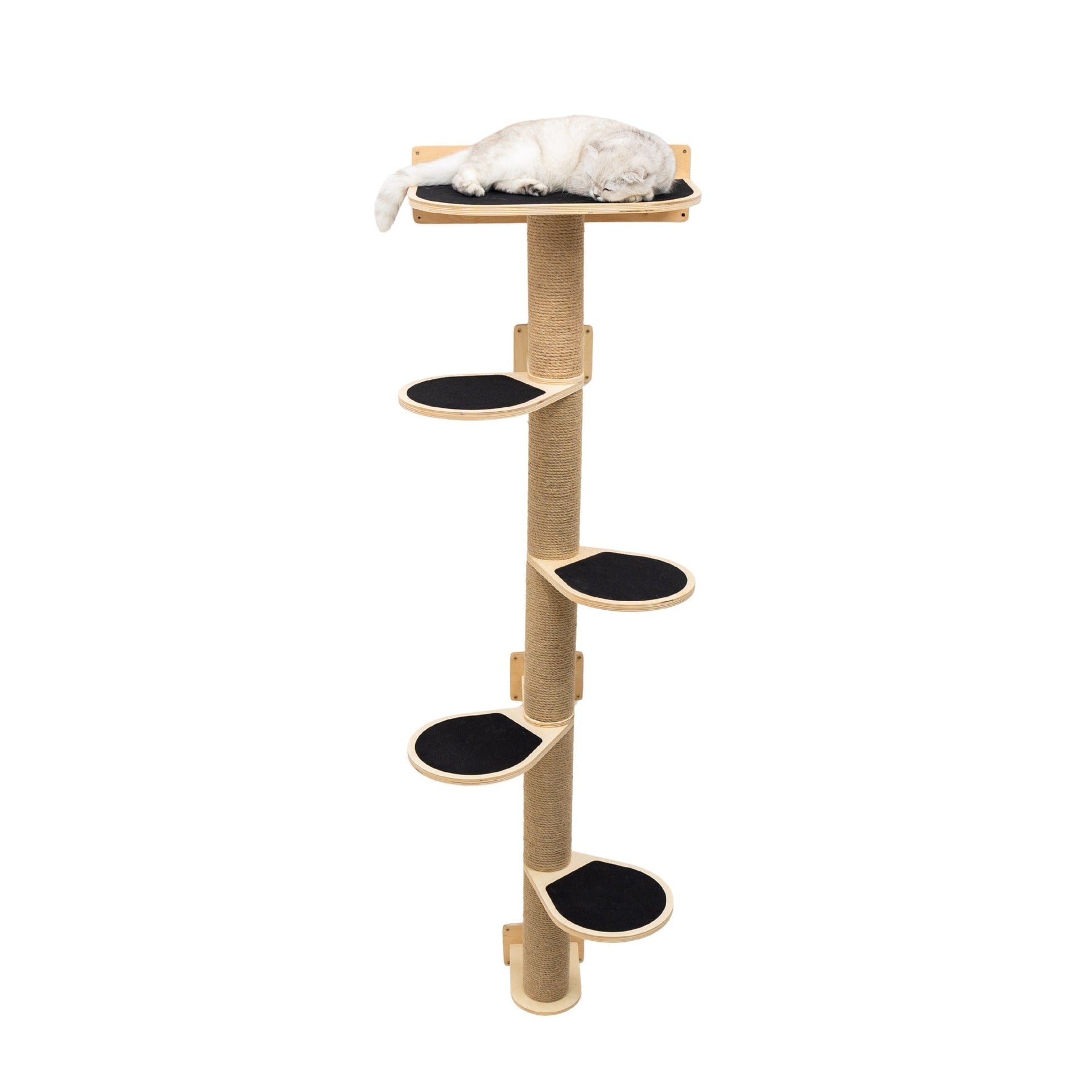 Minimalist light wood cat wall tree with black and beige details