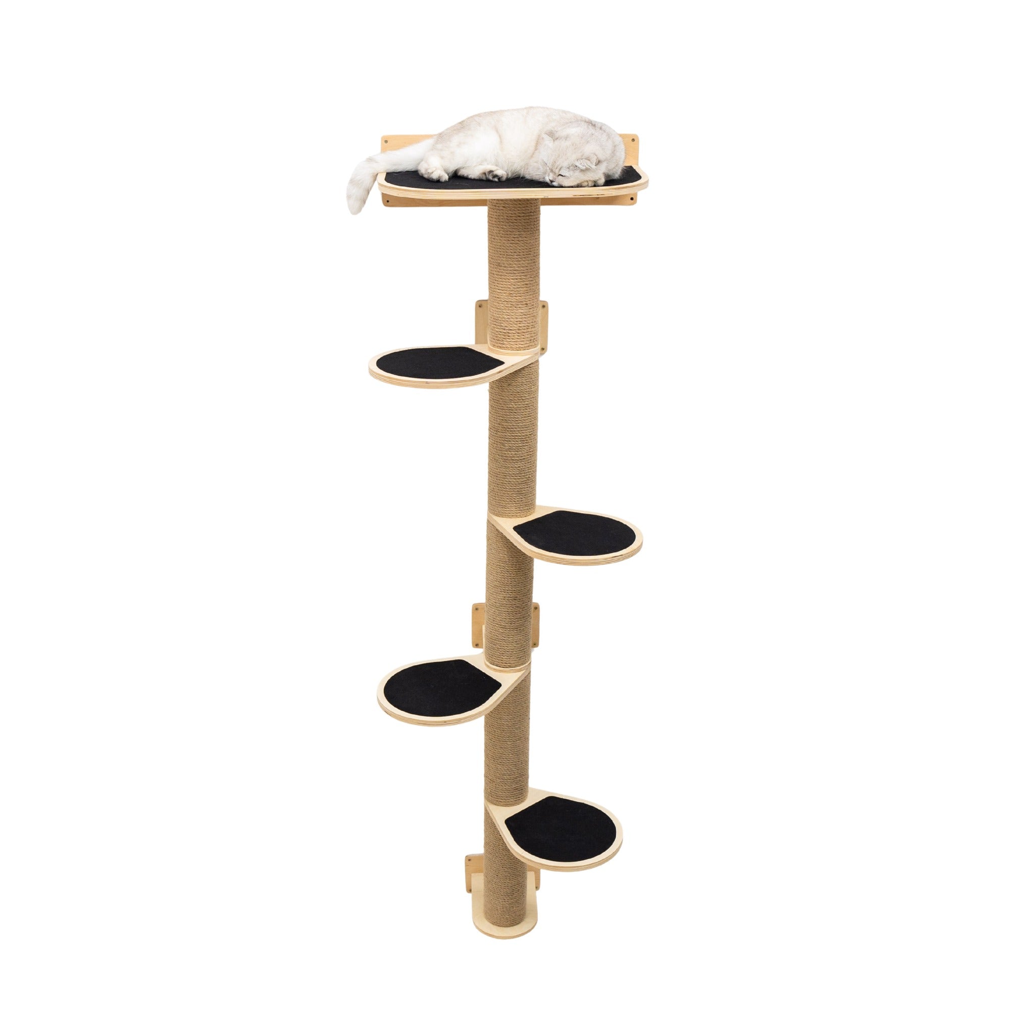 Minimalist light wood cat wall tree with black and beige details