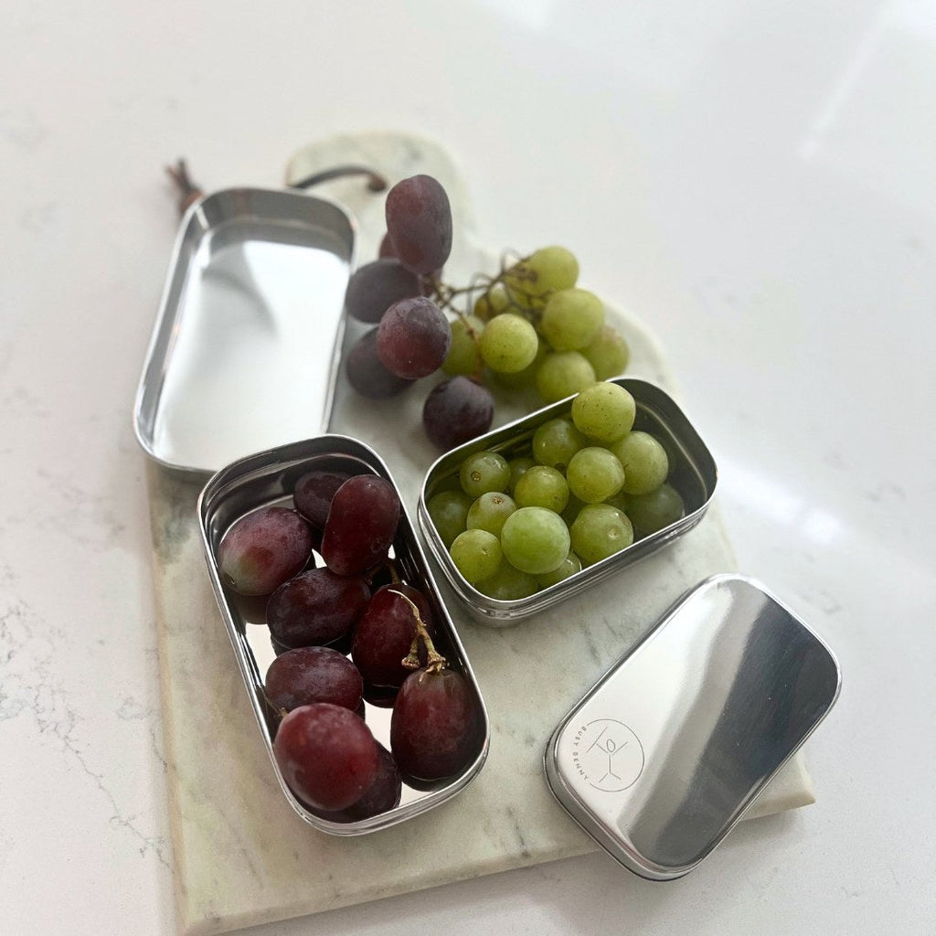 Stainless Steel Snack Container with Stainless Steel lid (Small)