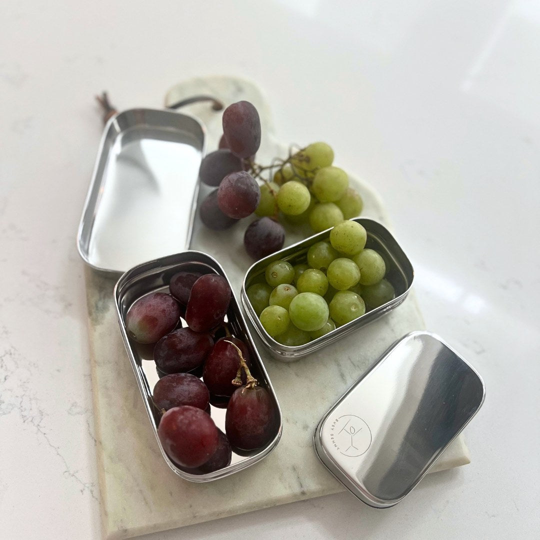 Stainless Steel Snack Container with Stainless Steel lid (Small)