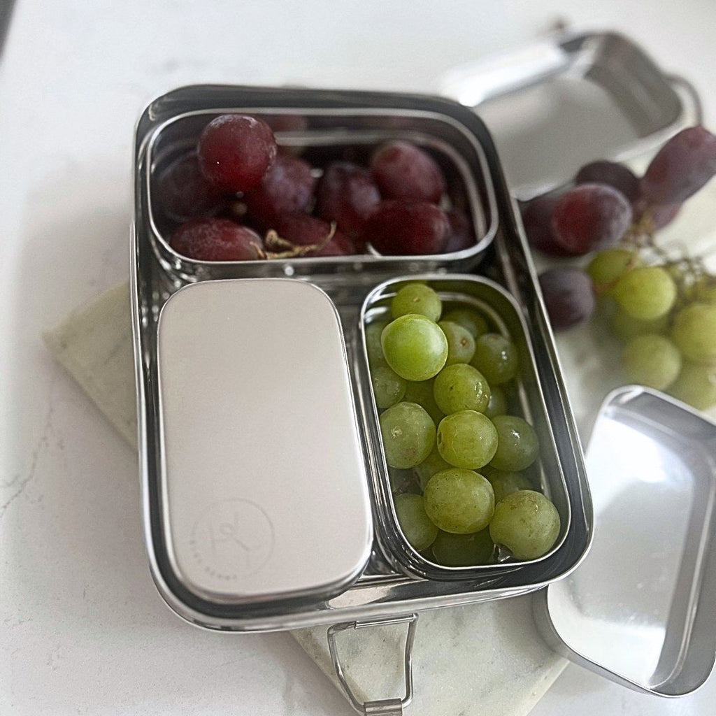Stainless Steel Snack Container with Stainless Steel lid (Small)