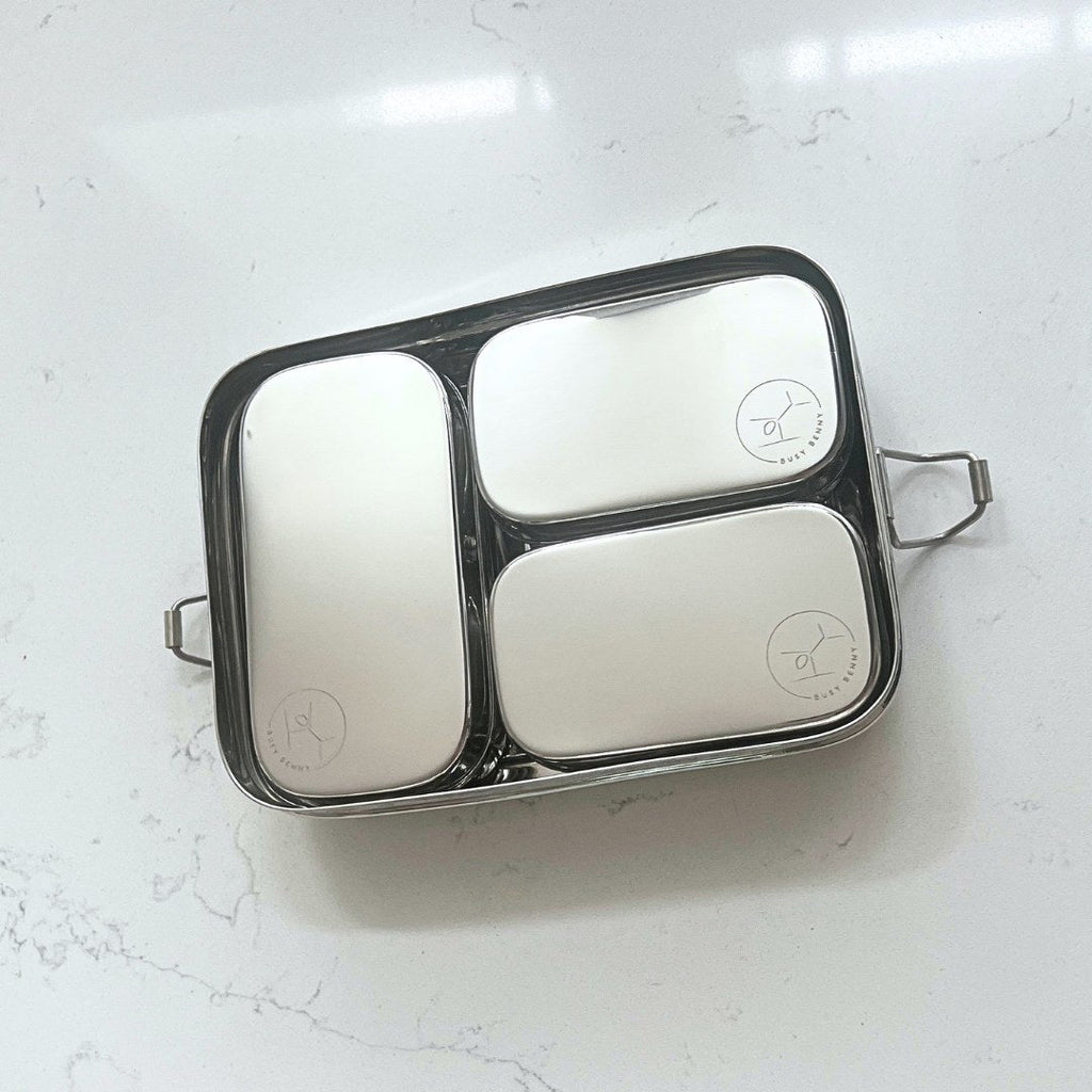 Stainless Steel Snack Container with Stainless Steel lid (Small)