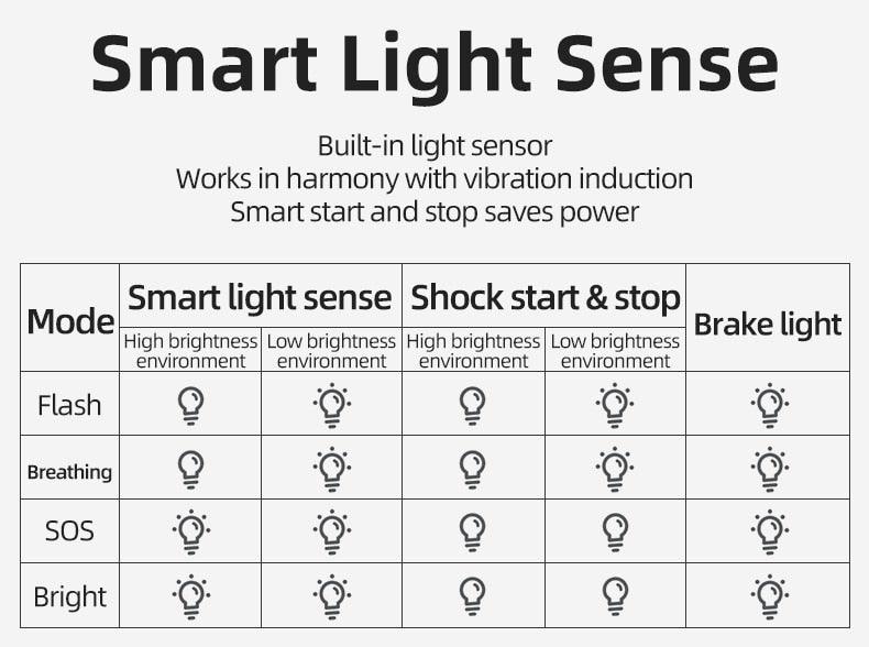 Smart LED Bicycle Taillight with Auto Brake Sensing & USB Charge