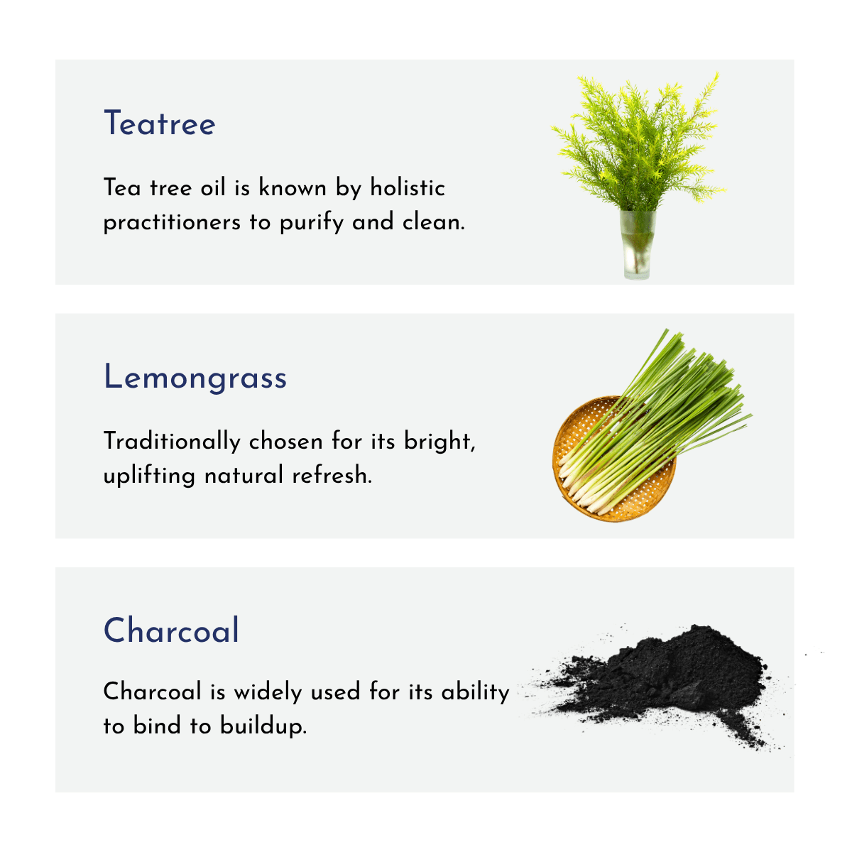 Lemongrass & TeaTree