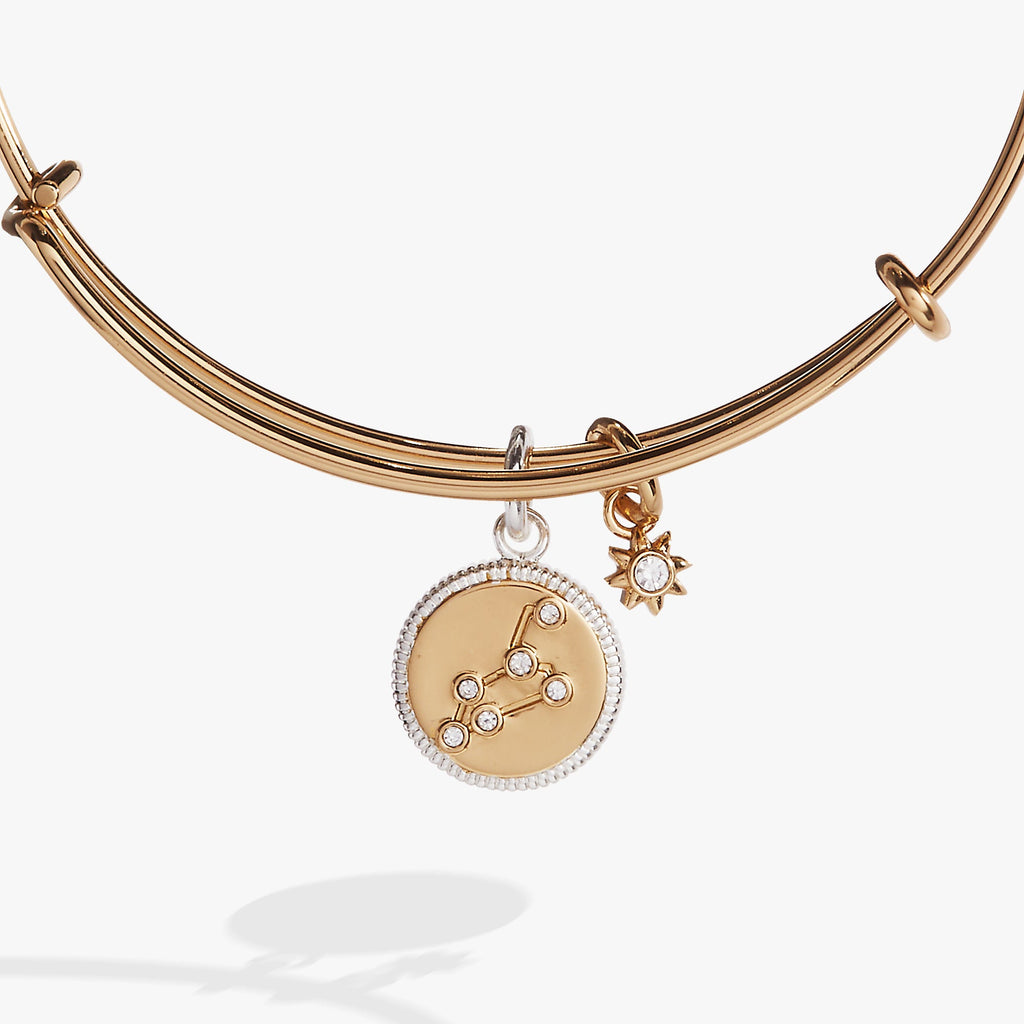 Leo Zodiac Fire Sign Charm Bangle with Constellation Detail
