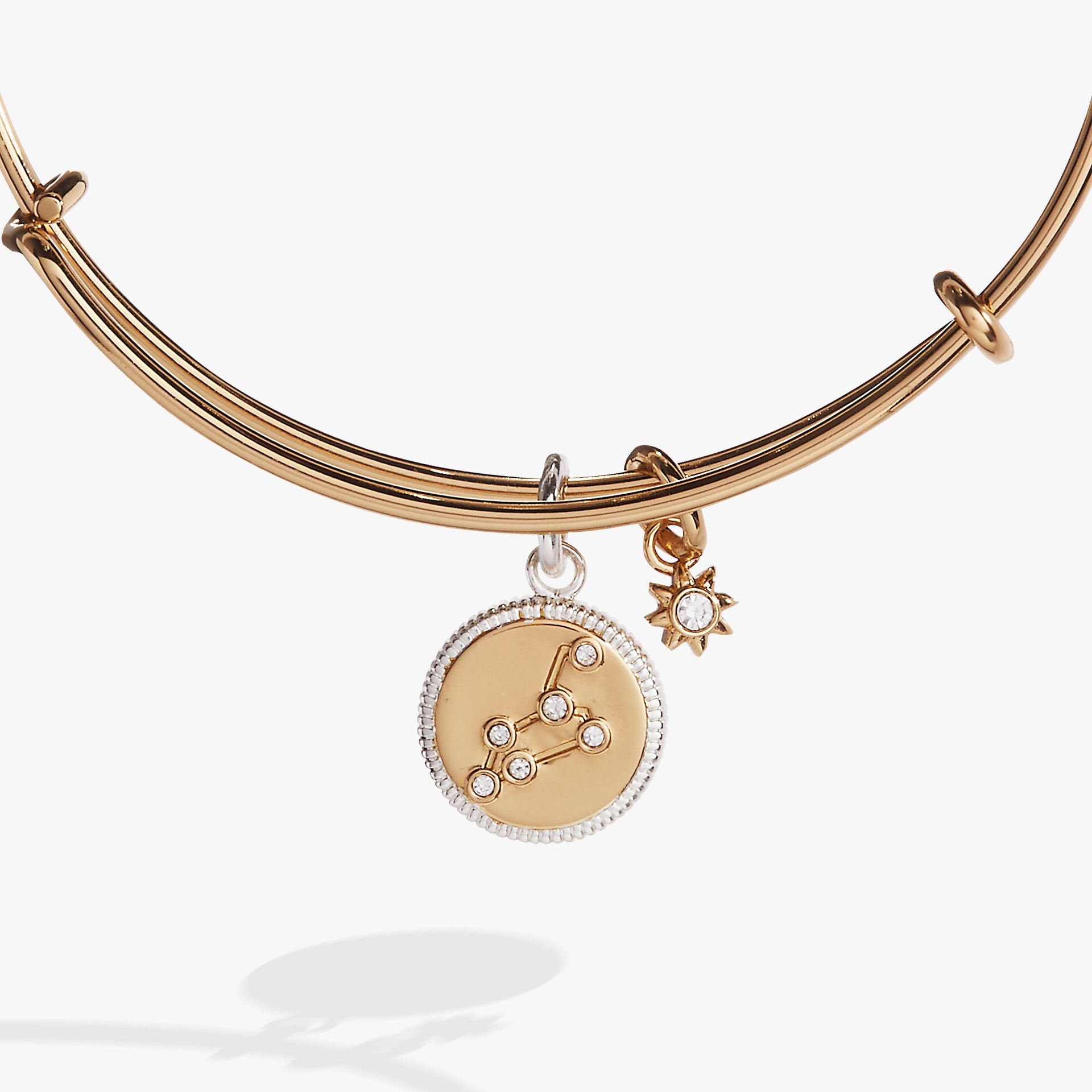 Leo Zodiac Fire Sign Charm Bangle with Constellation Detail