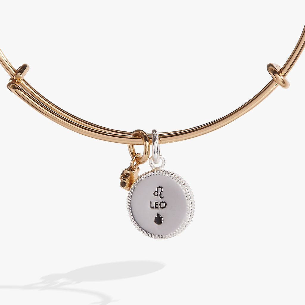 Leo Zodiac Fire Sign Charm Bangle with Constellation Detail