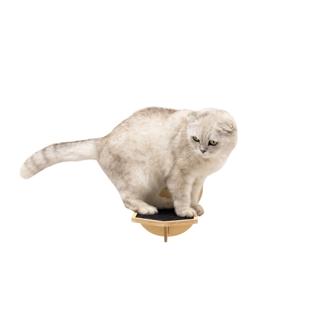 Wall-Mounted Wooden Cat Step - Lightweight Floating Climbing Shelf