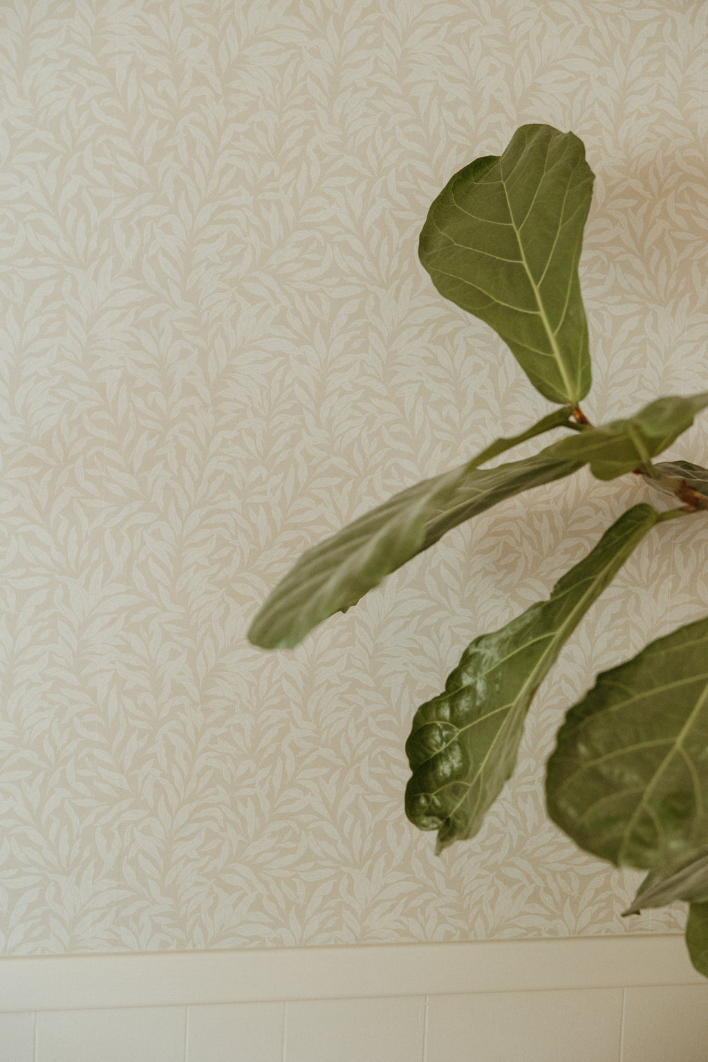 Radley Peel and Stick Removable Wallpaper by The Fibery