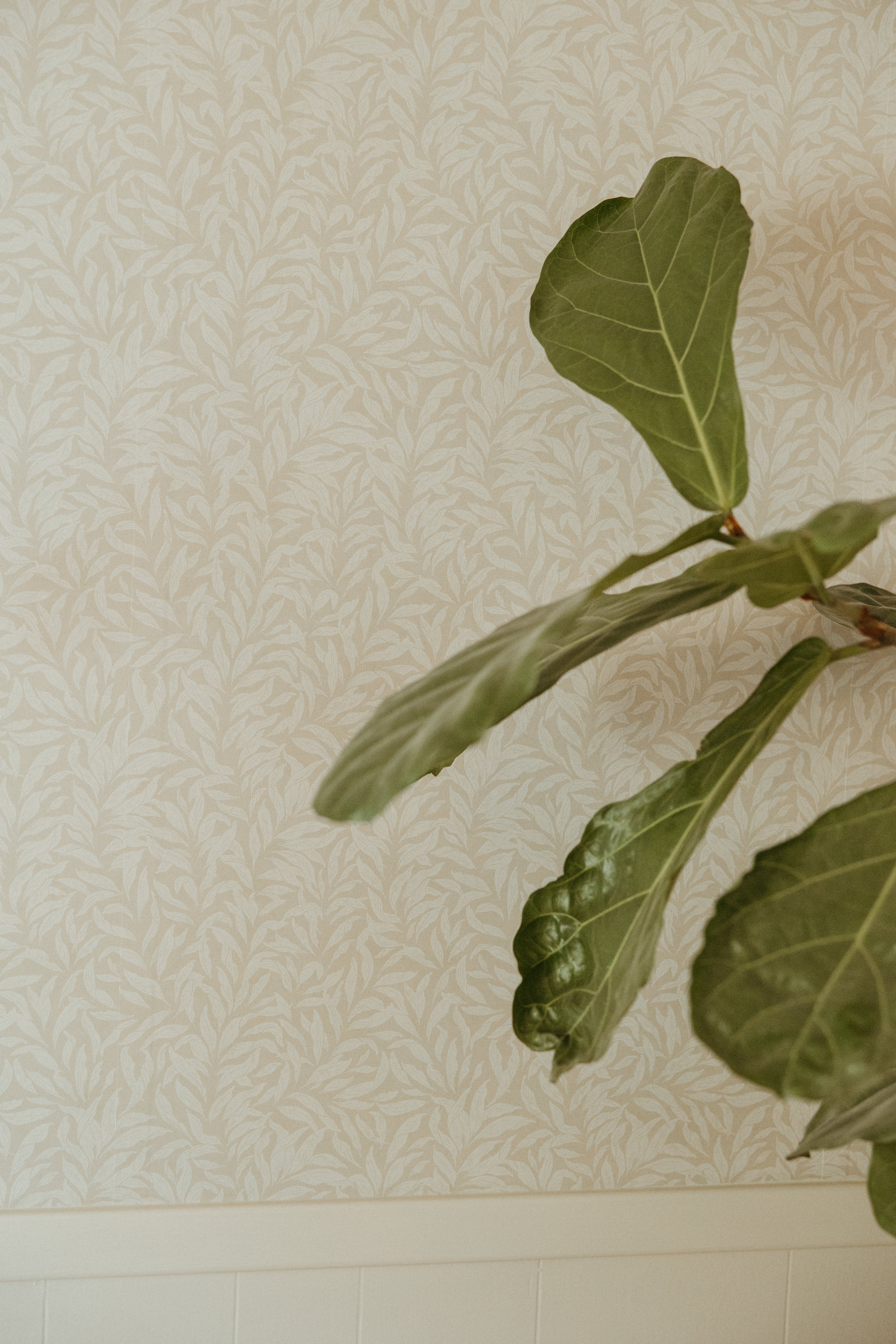 Radley Peel and Stick Removable Wallpaper by The Fibery