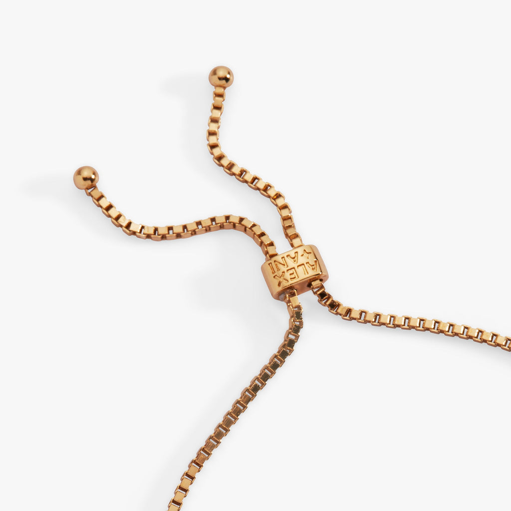 Lucky Symbol Bolo Bracelet with Wishbone, Clover and Horseshoe