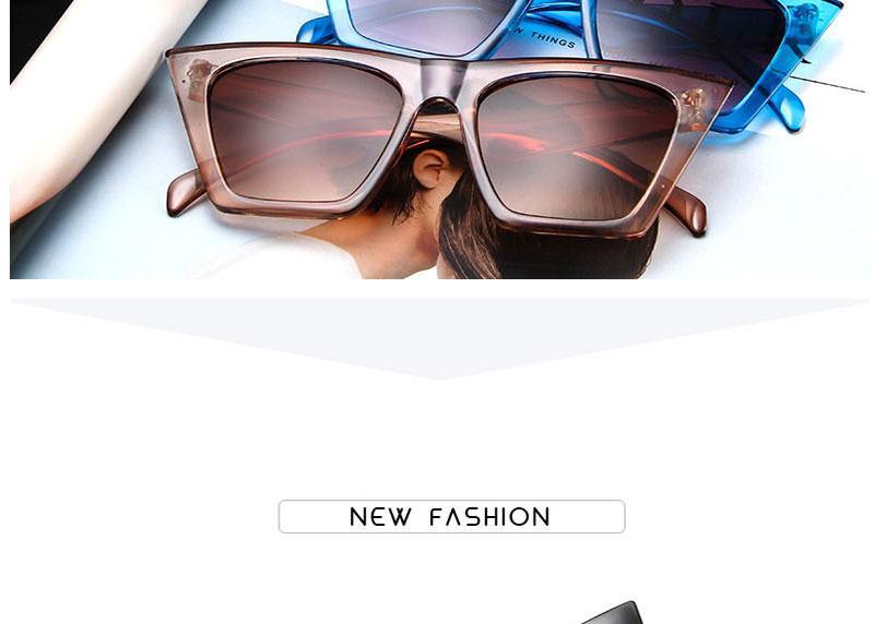Luxury Square Retro Sunglasses Minimalist Designer Eyewear