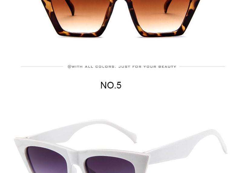 Luxury Square Retro Sunglasses Minimalist Designer Eyewear