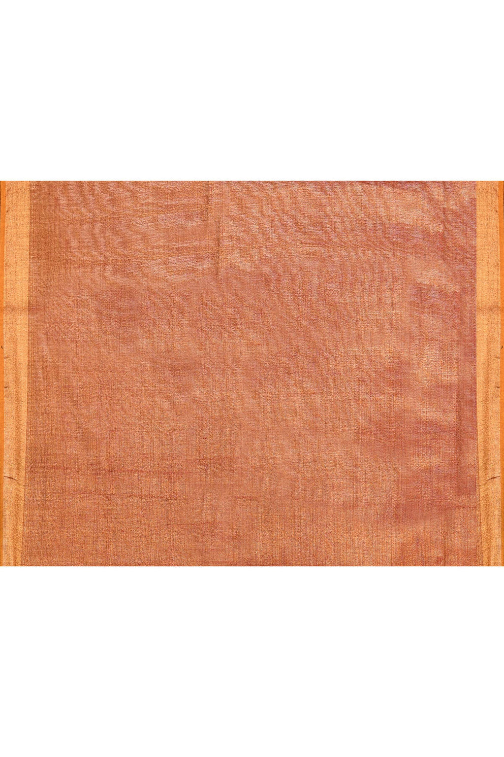 Brown Tissue Jamdani Saree with Ornate Embellishments