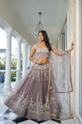 Light Dusty Brown Butterfly Net Lehenga with white cotton thread and sequence work