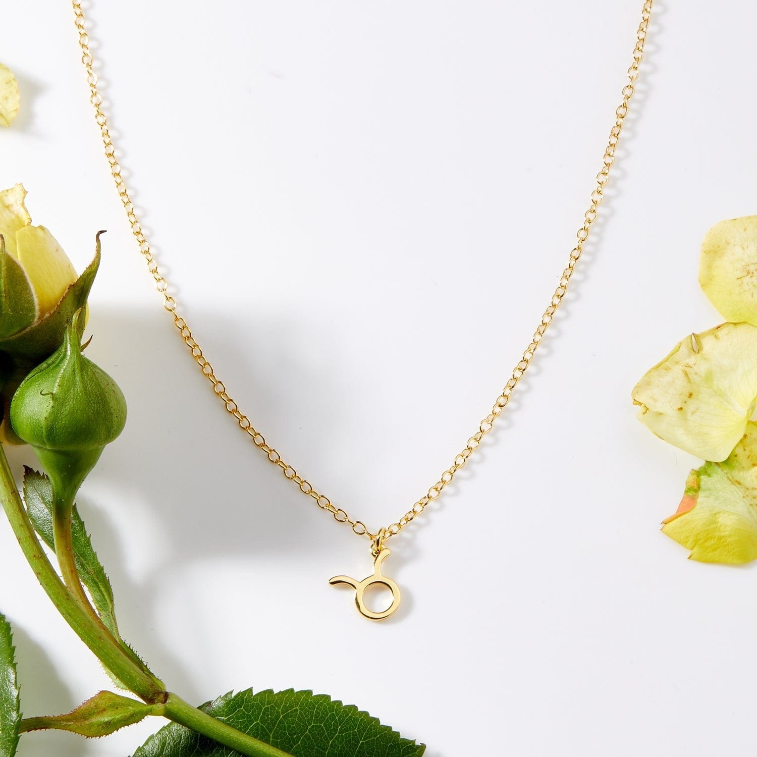 May 4th Taurus Necklace