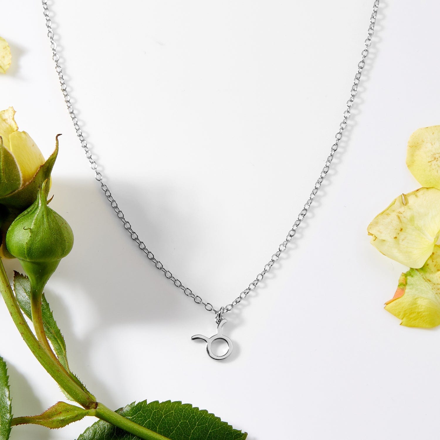 May 4th Taurus Necklace