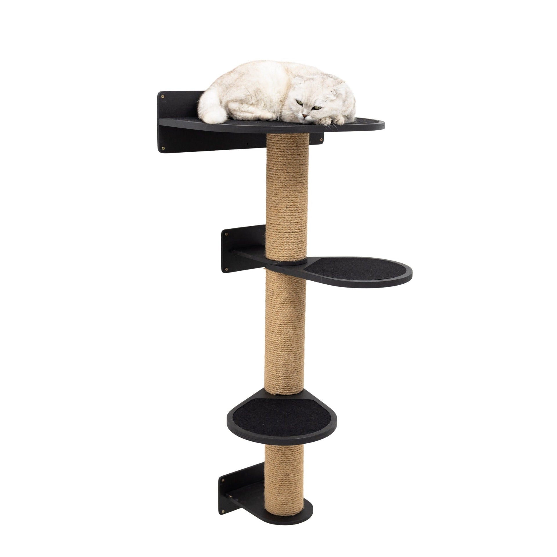 Modern two-level black cat tree with sisal scratching post and felt lounging areas