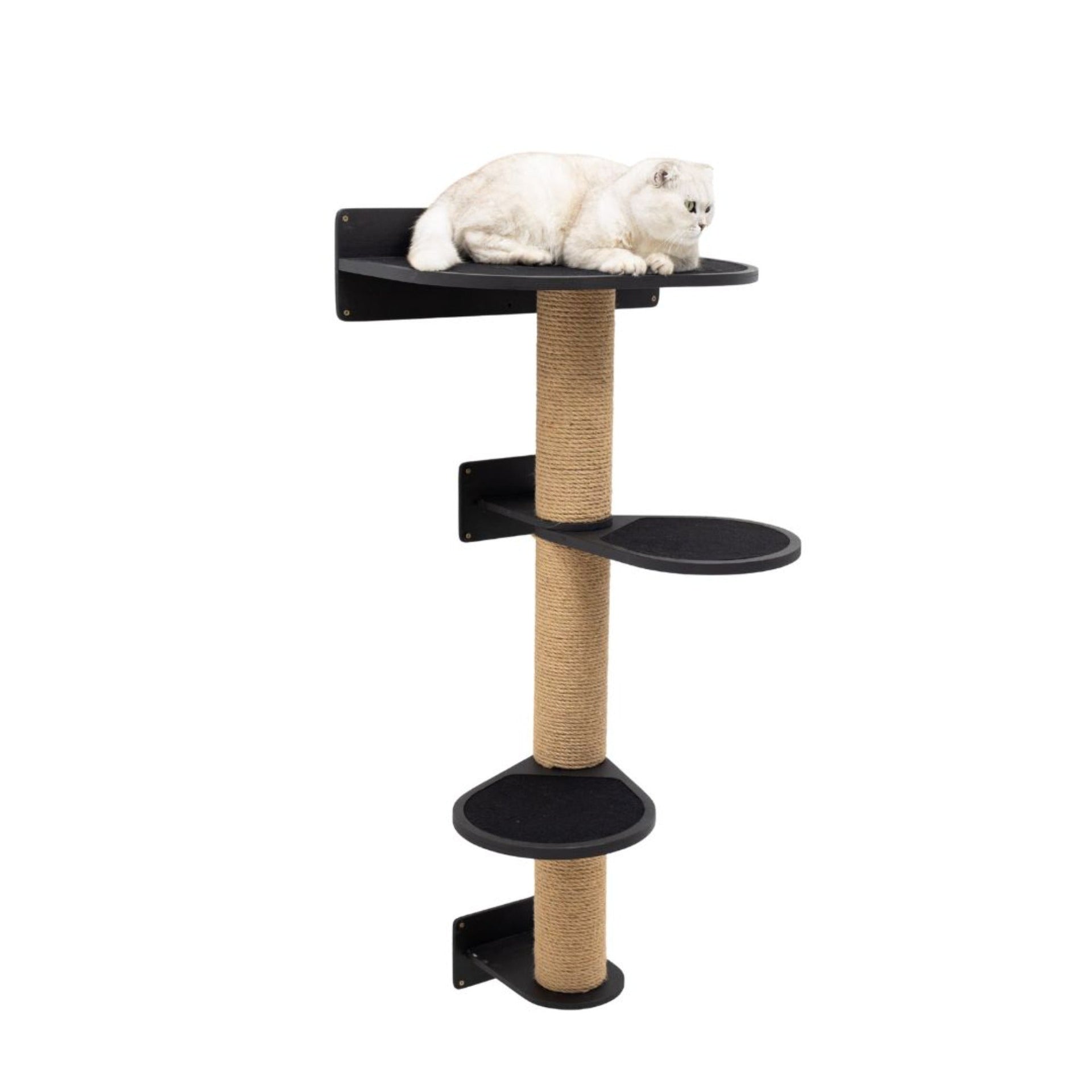Medium Cat Tree in Black – Modern Sisal Scratching Post & Lounge
