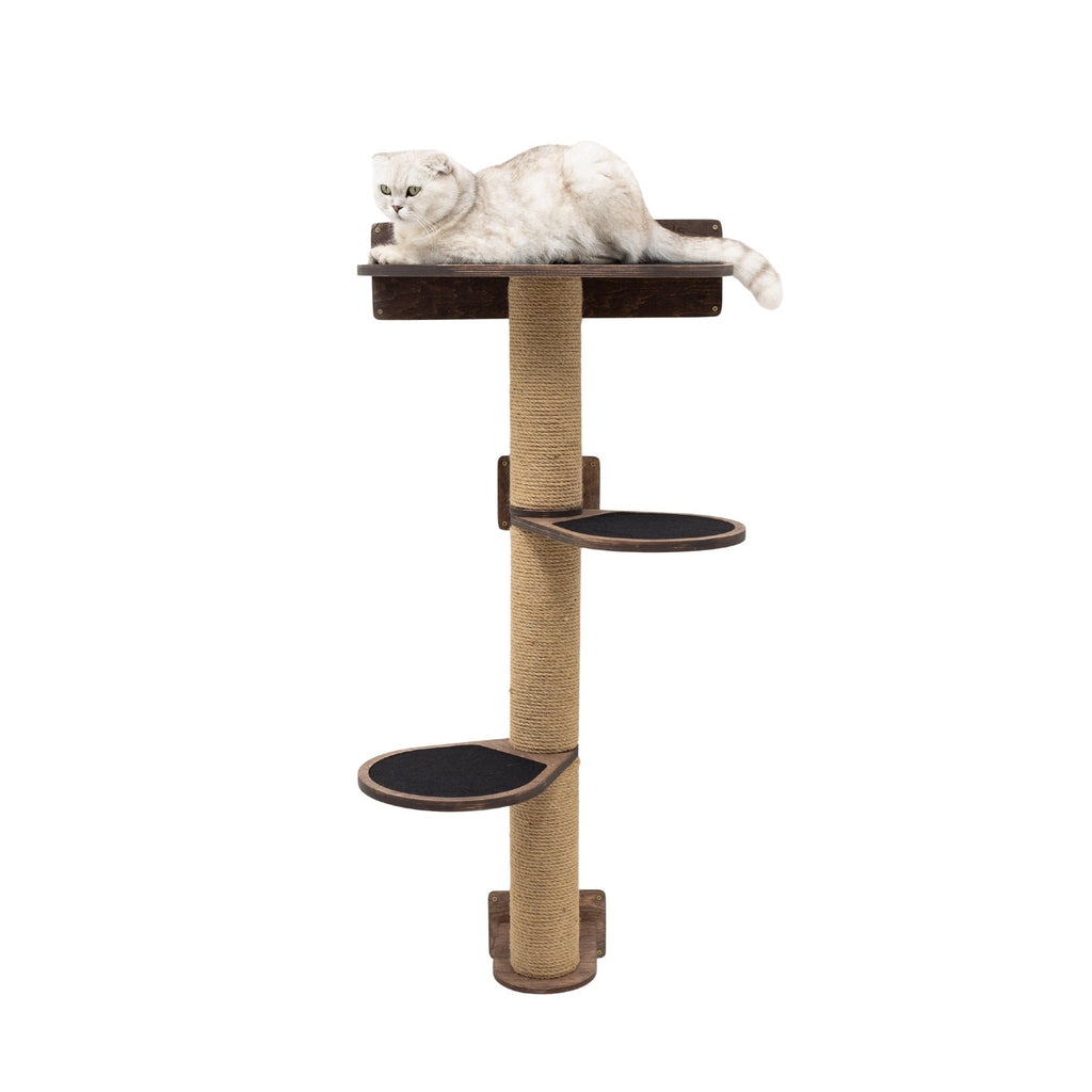 Medium cat tree in dark walnut wood finish with multiple levels for climbing and resting.