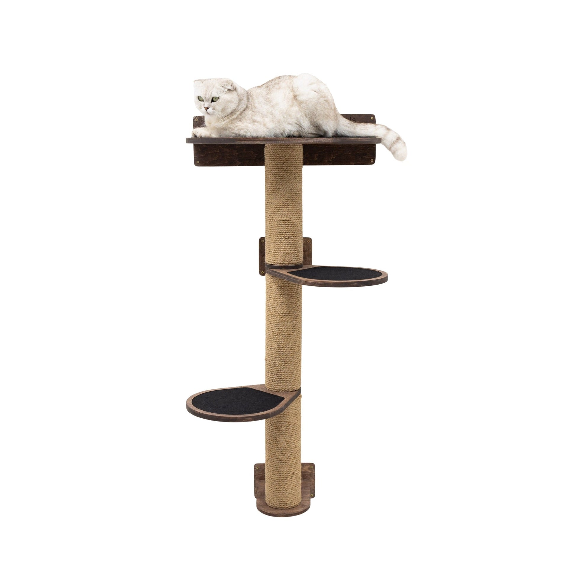Medium cat tree in dark walnut wood finish with multiple levels for climbing and resting.