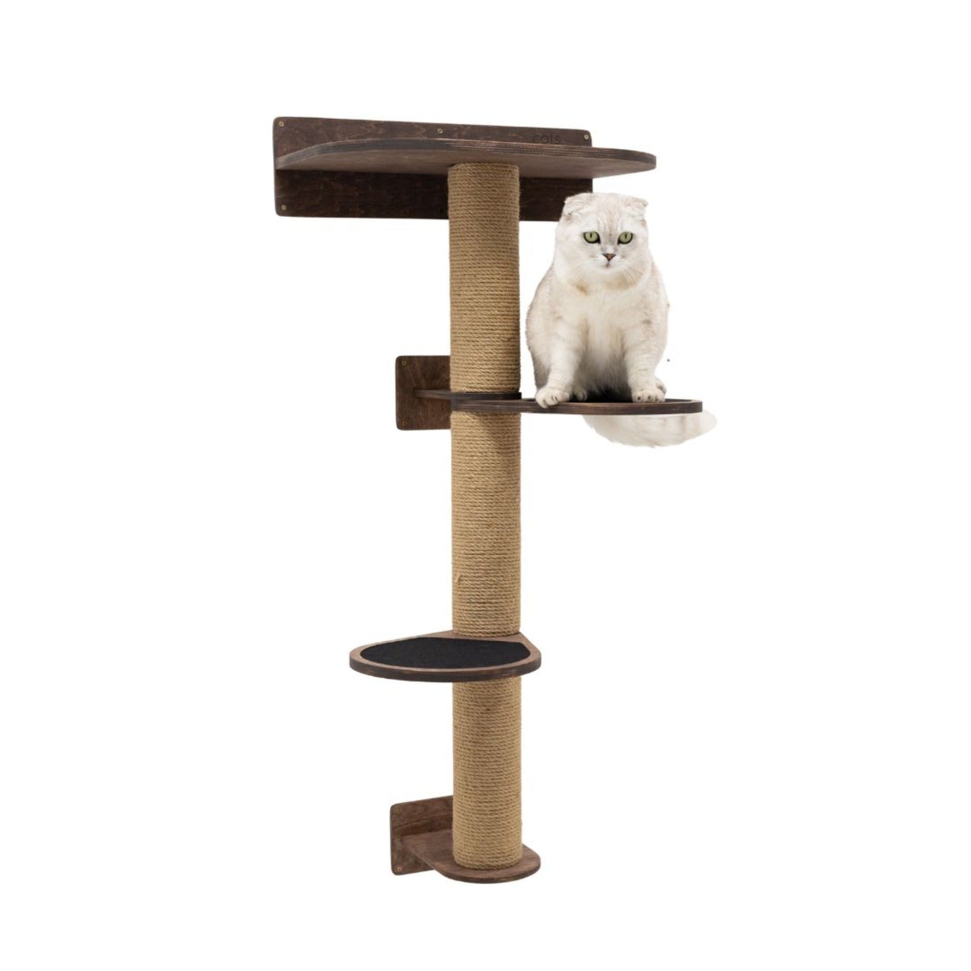 Medium Cat Tree in Dark Walnut – Premium Multi-Level Cat Tower