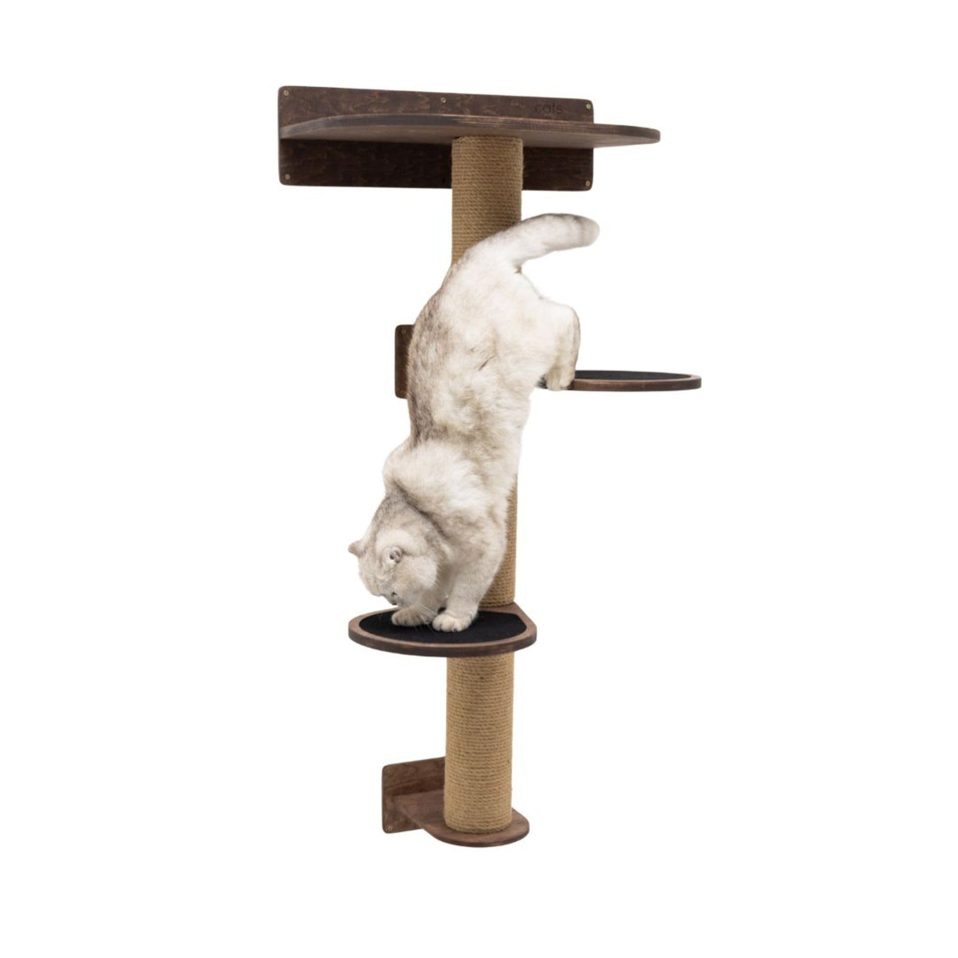 Medium Cat Tree in Dark Walnut – Premium Multi-Level Cat Tower