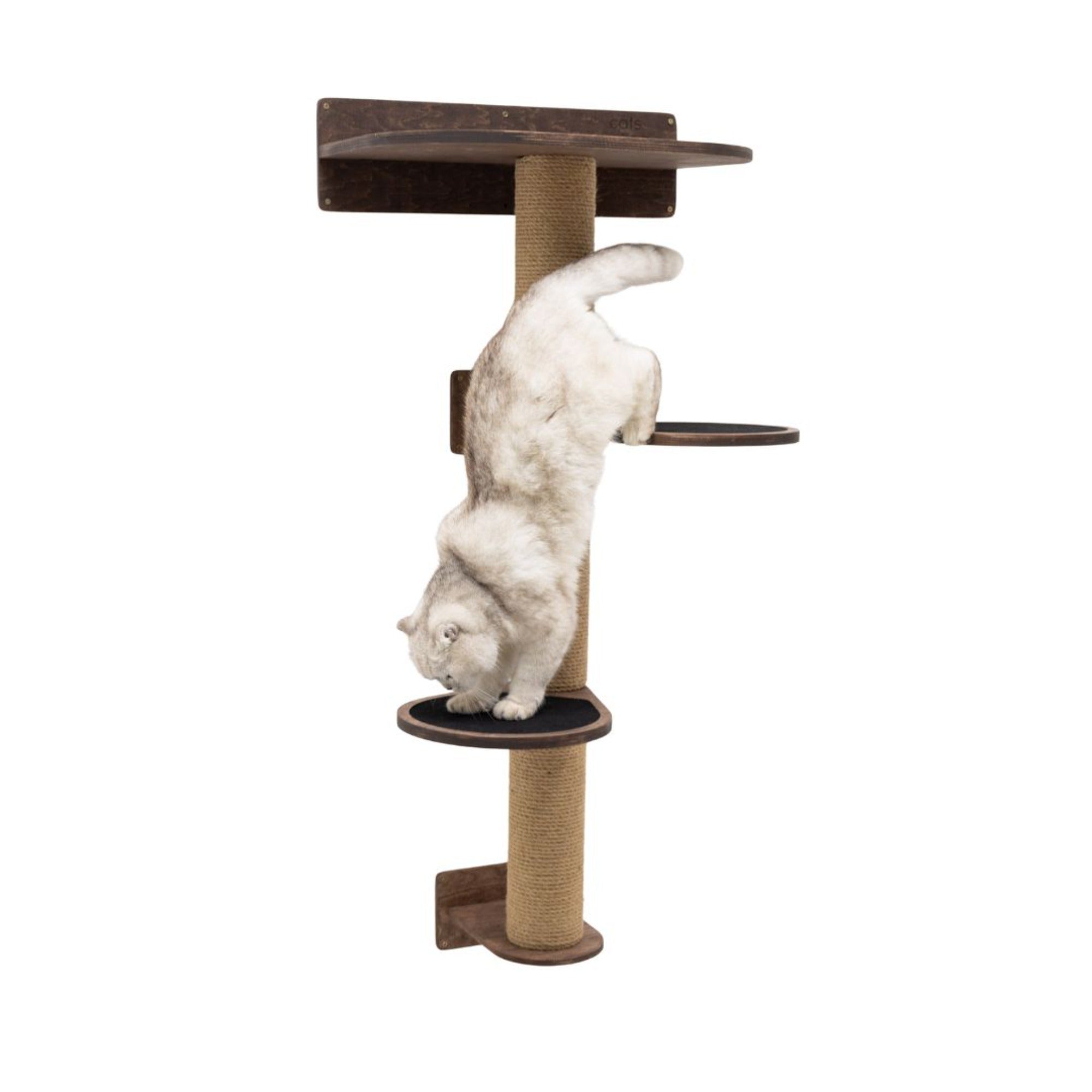 Medium Cat Tree in Dark Walnut – Premium Multi-Level Cat Tower