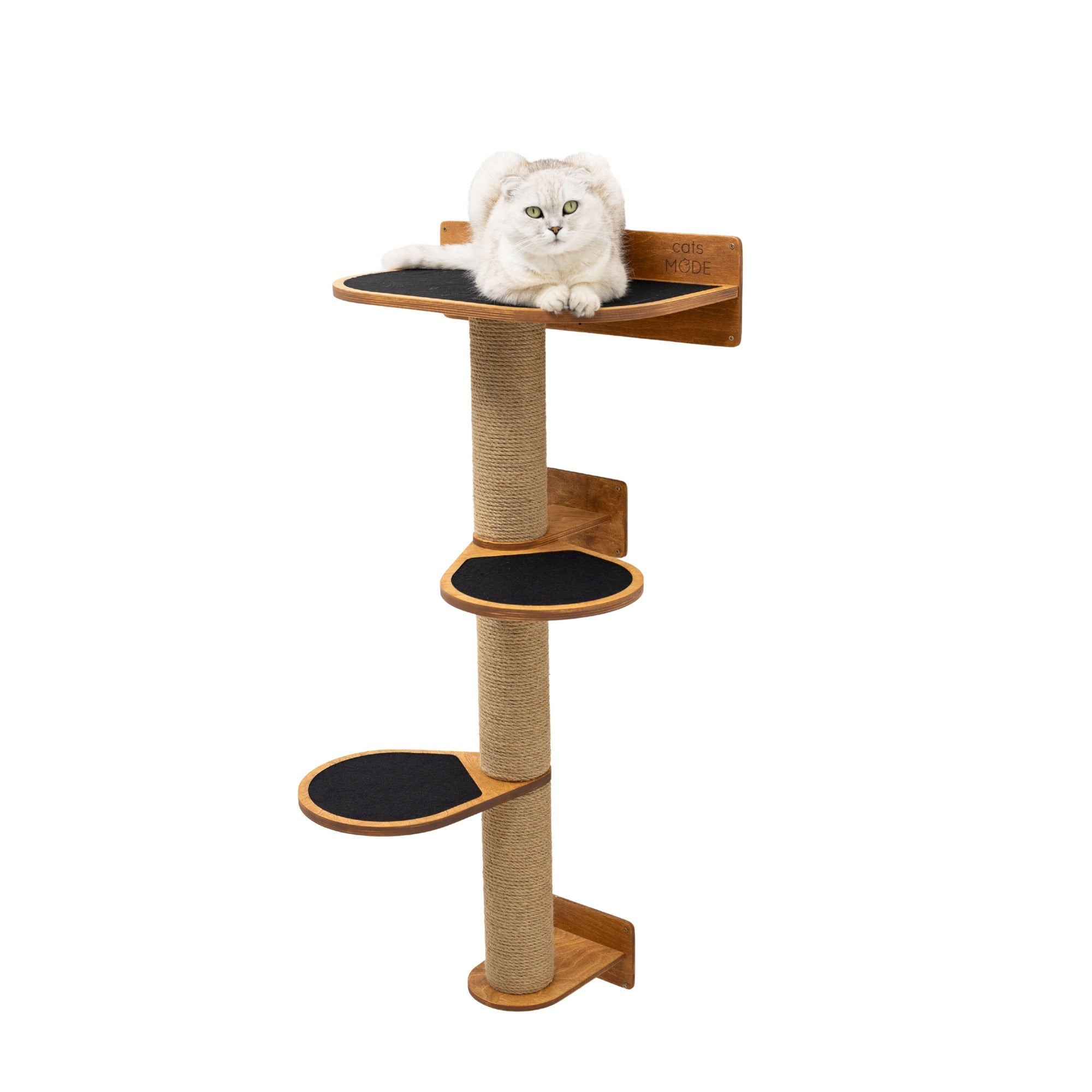 Medium wall-mounted cat tree in oak wood finish with black accents