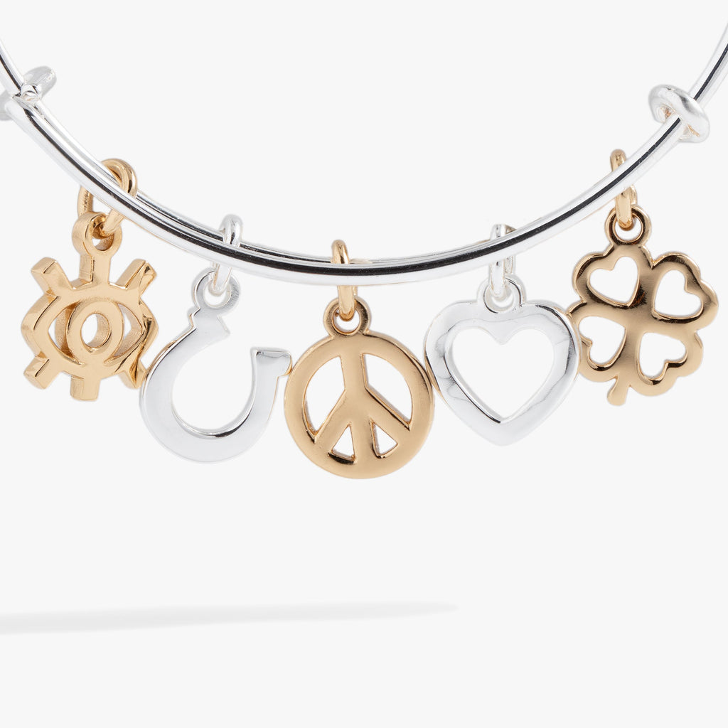 Mixed Symbol Multi-Charm Bangle Bracelet in Silver and Gold