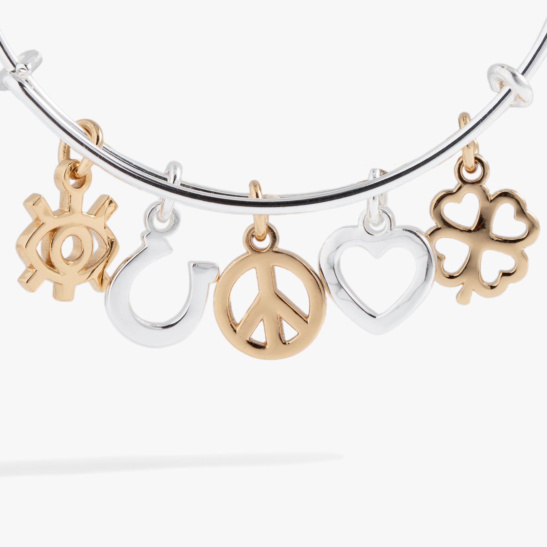 Mixed Symbol Multi-Charm Bangle Bracelet in Silver and Gold