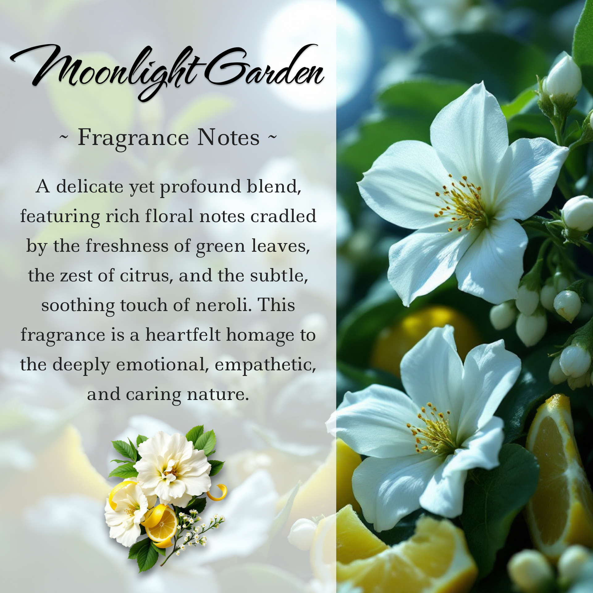Moonlight Garden, Premium Coconut-Soy Wax Tea Light Crystal Candle, 1oz