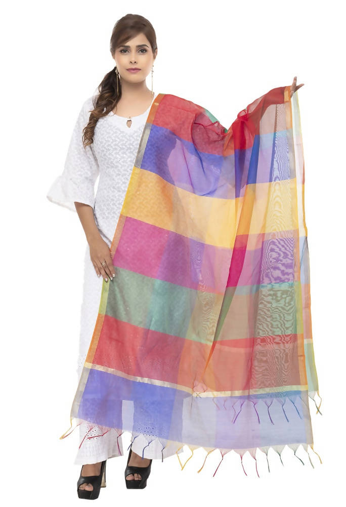 Multi-colored Banarsi Chanderi silk dupatta with geometric patterns for women