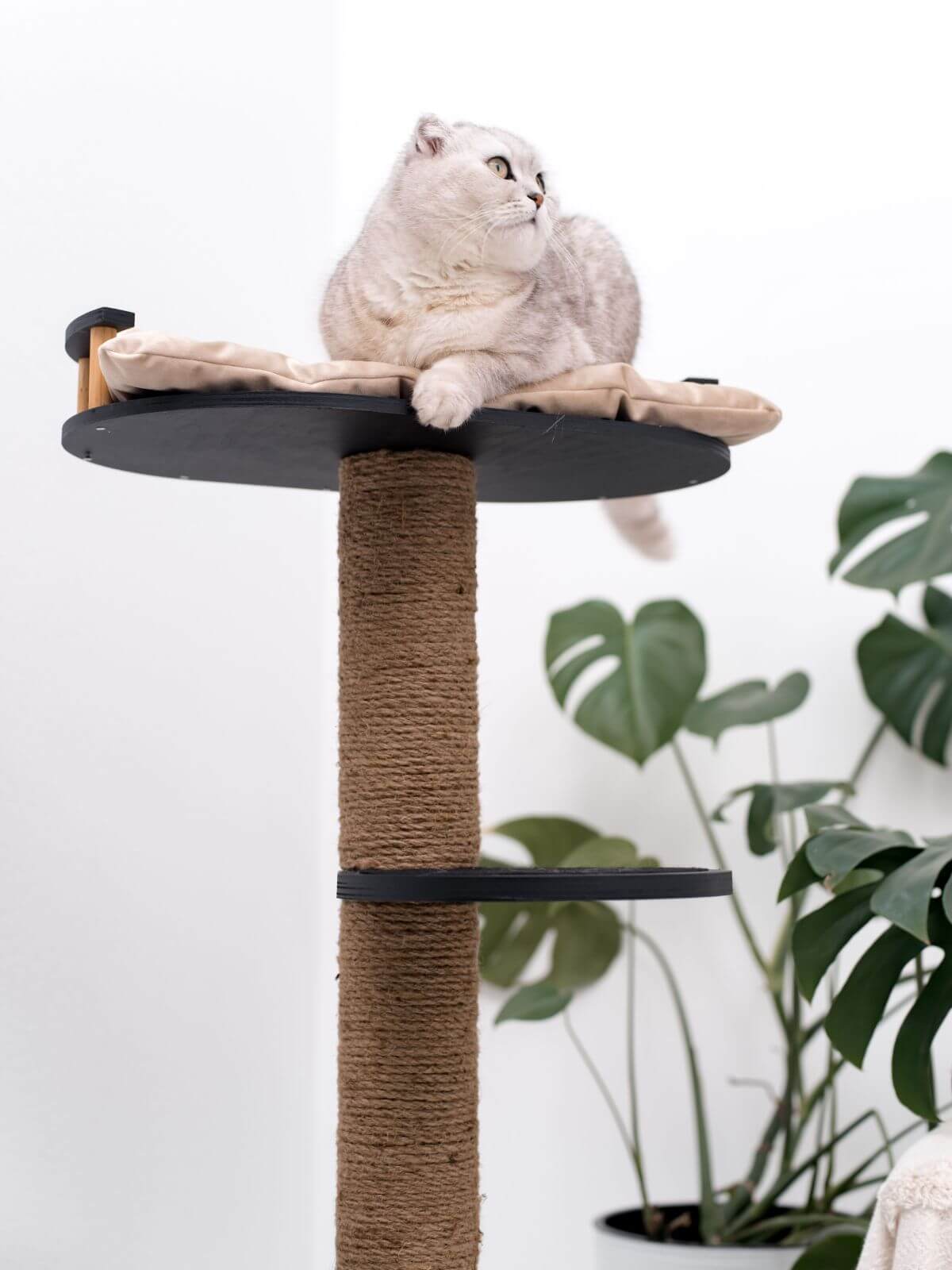 Modern Wooden Cat Tree with Plush Bed - Minimalist Feline Furniture