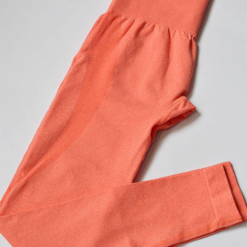 Seamless High Waisted Workout Leggings - Fitness Yoga Pants