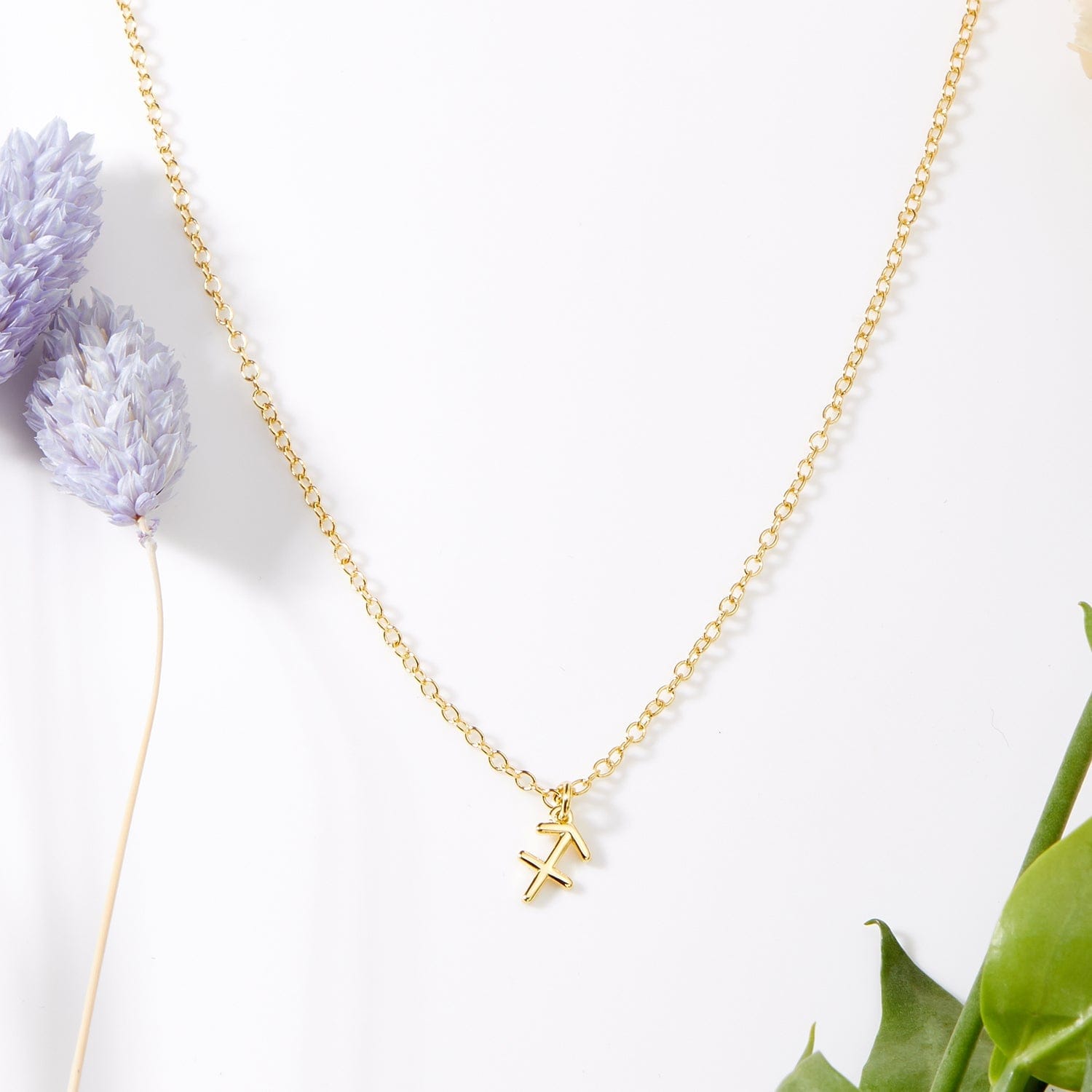 November 27th Sagittarius Necklace