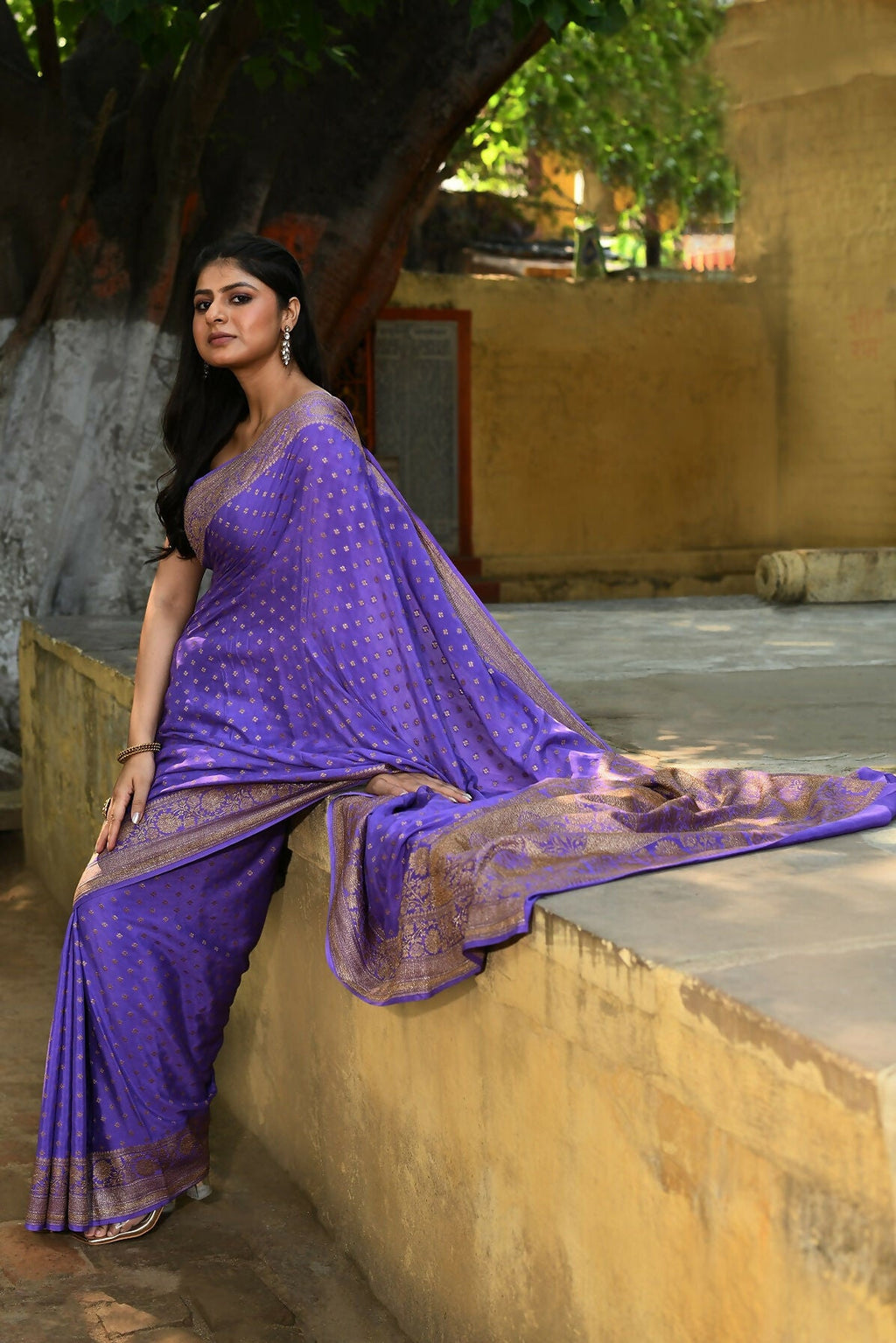 Lavender Crepe Chiffon Banarasi Silk Saree - Pure Handloom