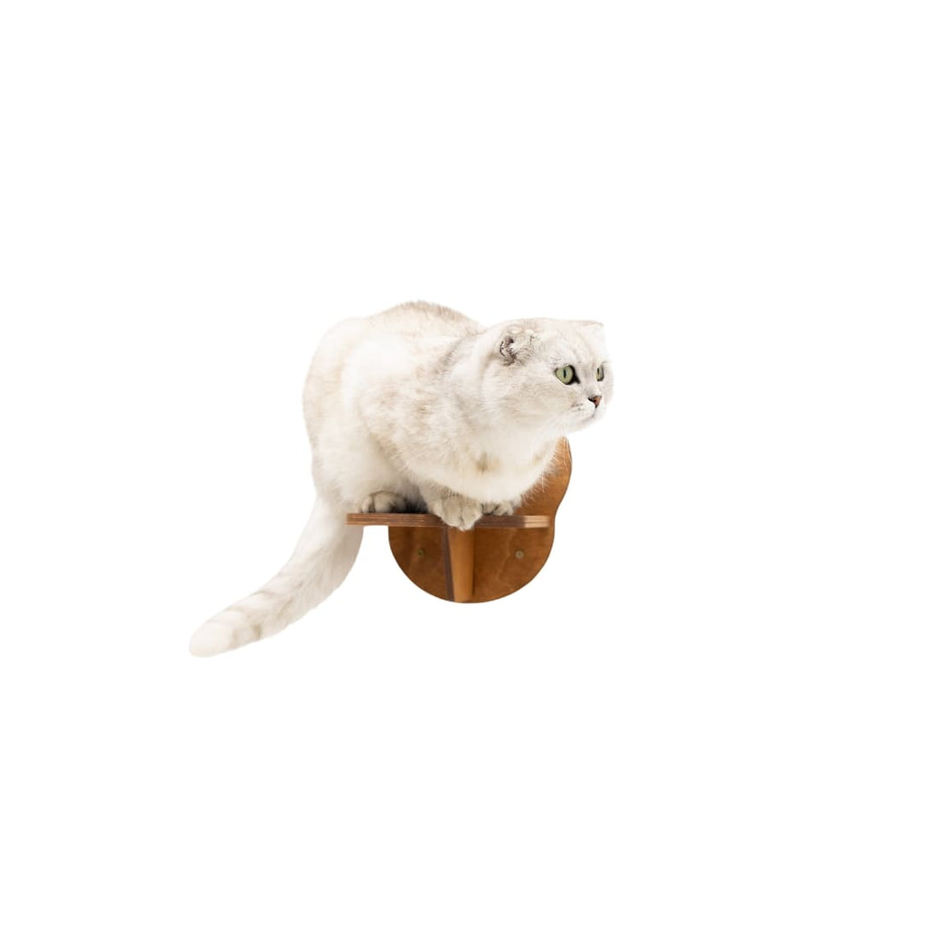 Oak wooden wall-mounted cat steps attached to a home interior wall