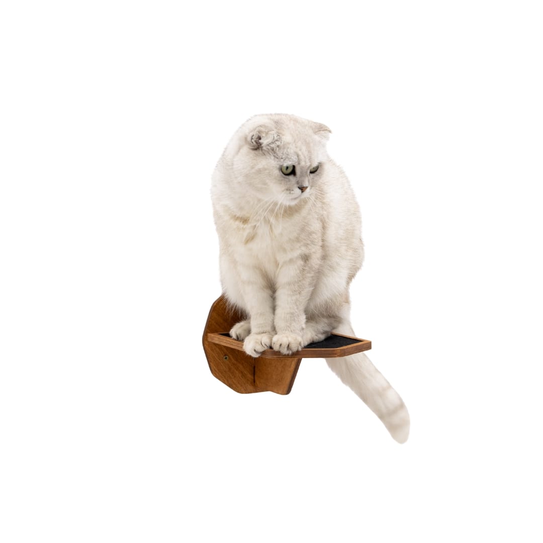 Modern Oak Hexagon Cat Wall Step with Non-Slip Felt Surface