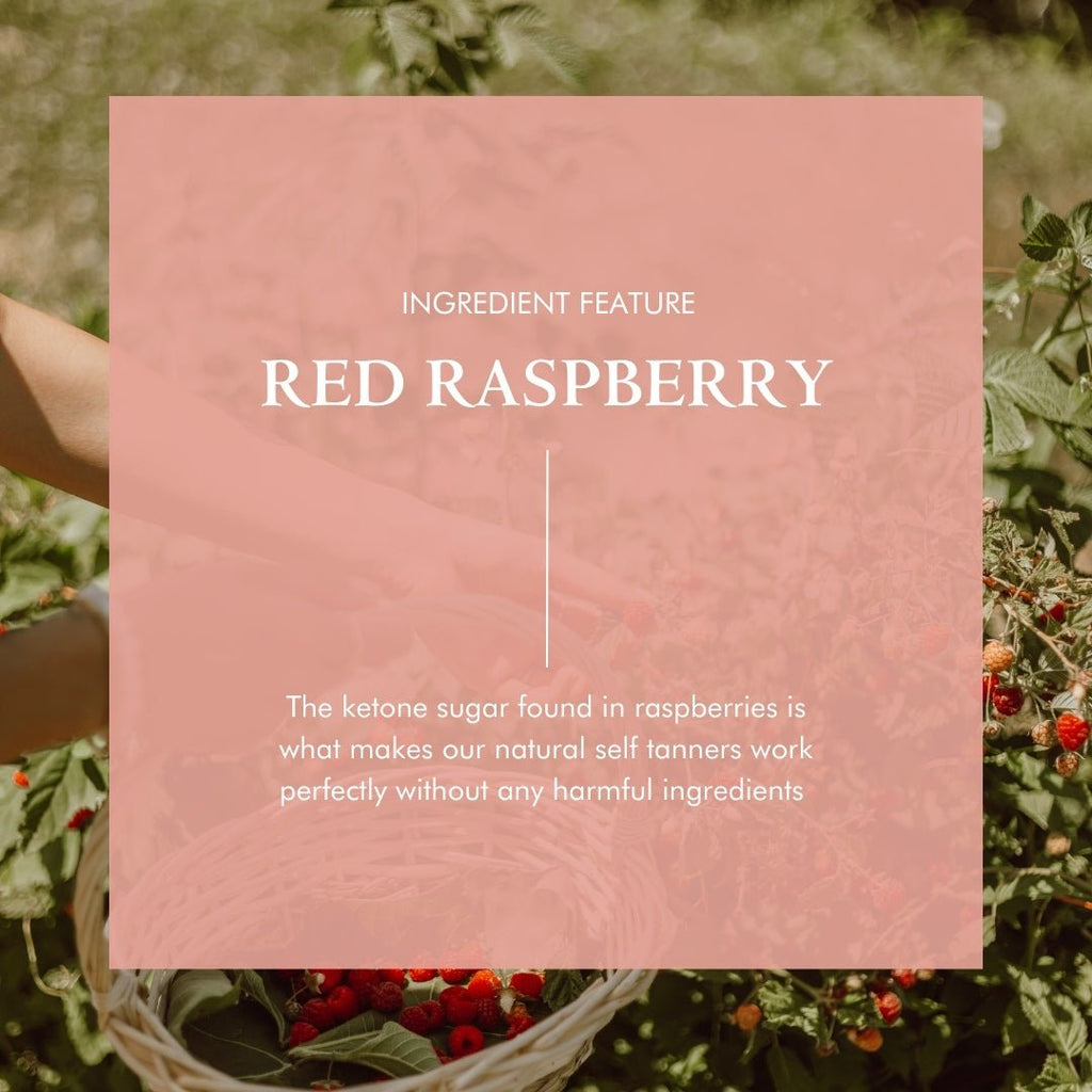 Organic DMAE Firming Serum – Natural Facelift Serum with Alpha Lipoic Acid for Sagging Skin & Wrinkles