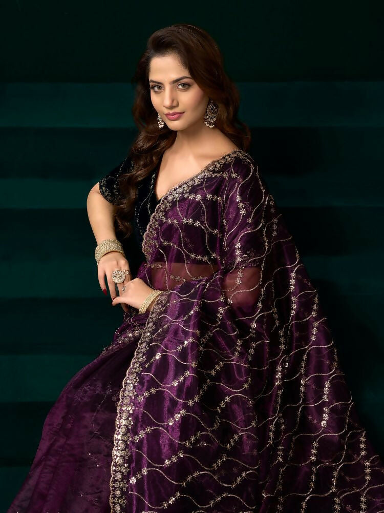 Wine Net Party Wear Saree with Black Velvet Blouse