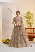 Metallic Gray Butterfly Net lehenga with tone-to-tone embroidery