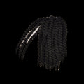 Black Kanekalon Havana Locks from Pallet #60 for protective styling