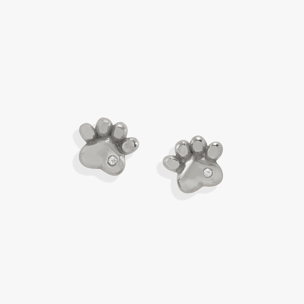 Silver Paw Print Mini Stud Earrings with Crystal Accents