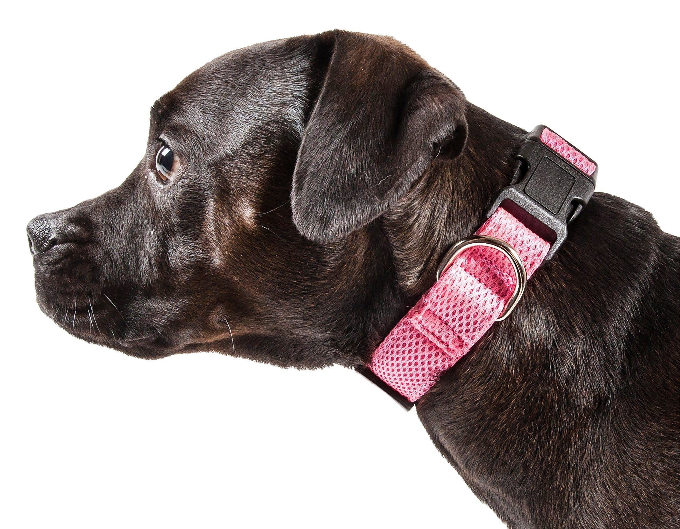 Pet Life ®  'Aero Mesh' Dual-Sided Breathable and Adjustable Thick Mesh Dog Collar