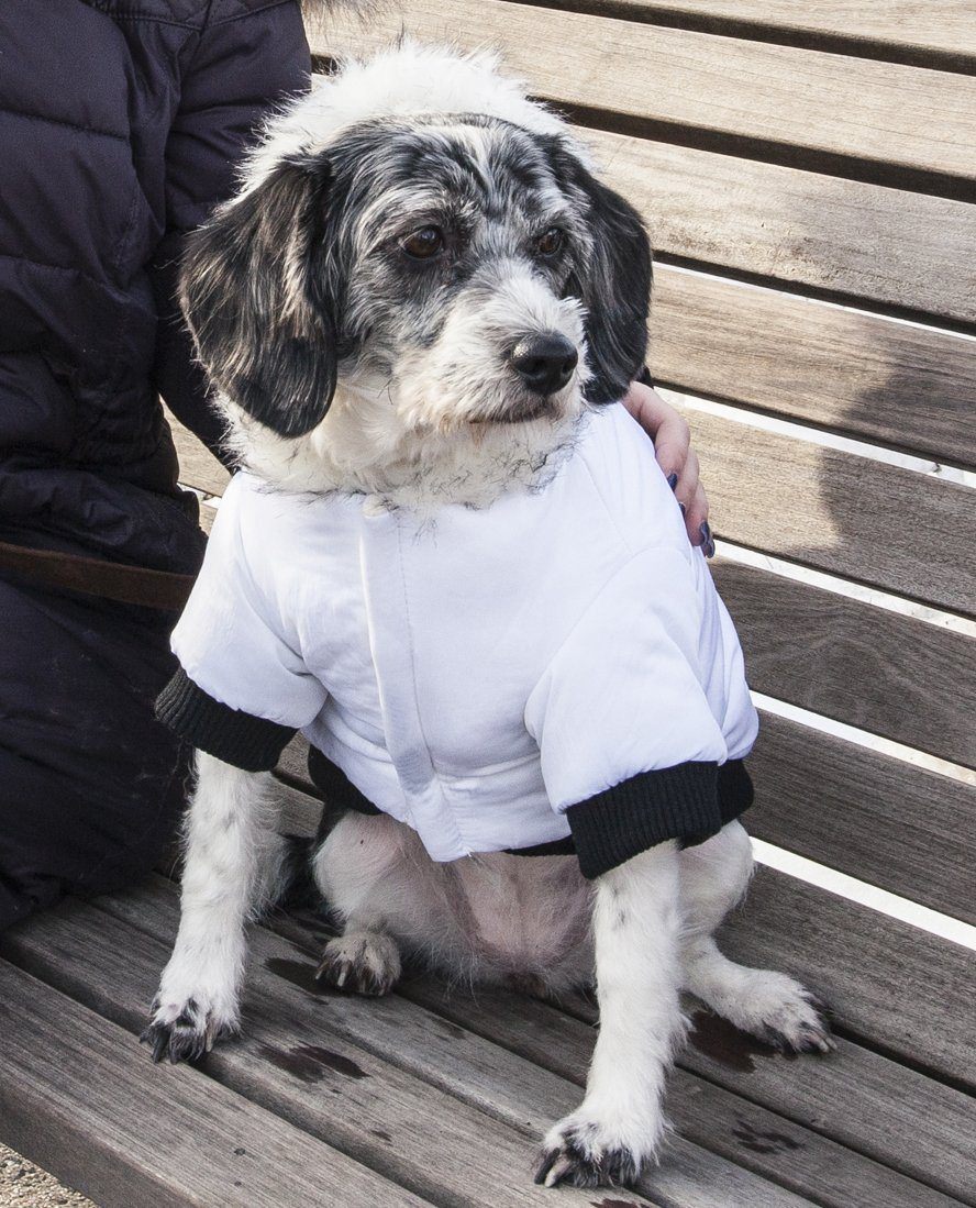 Pet Life ® Aspen Winter-White 3M Insulated Fashion Pet Parka Dog Coat
