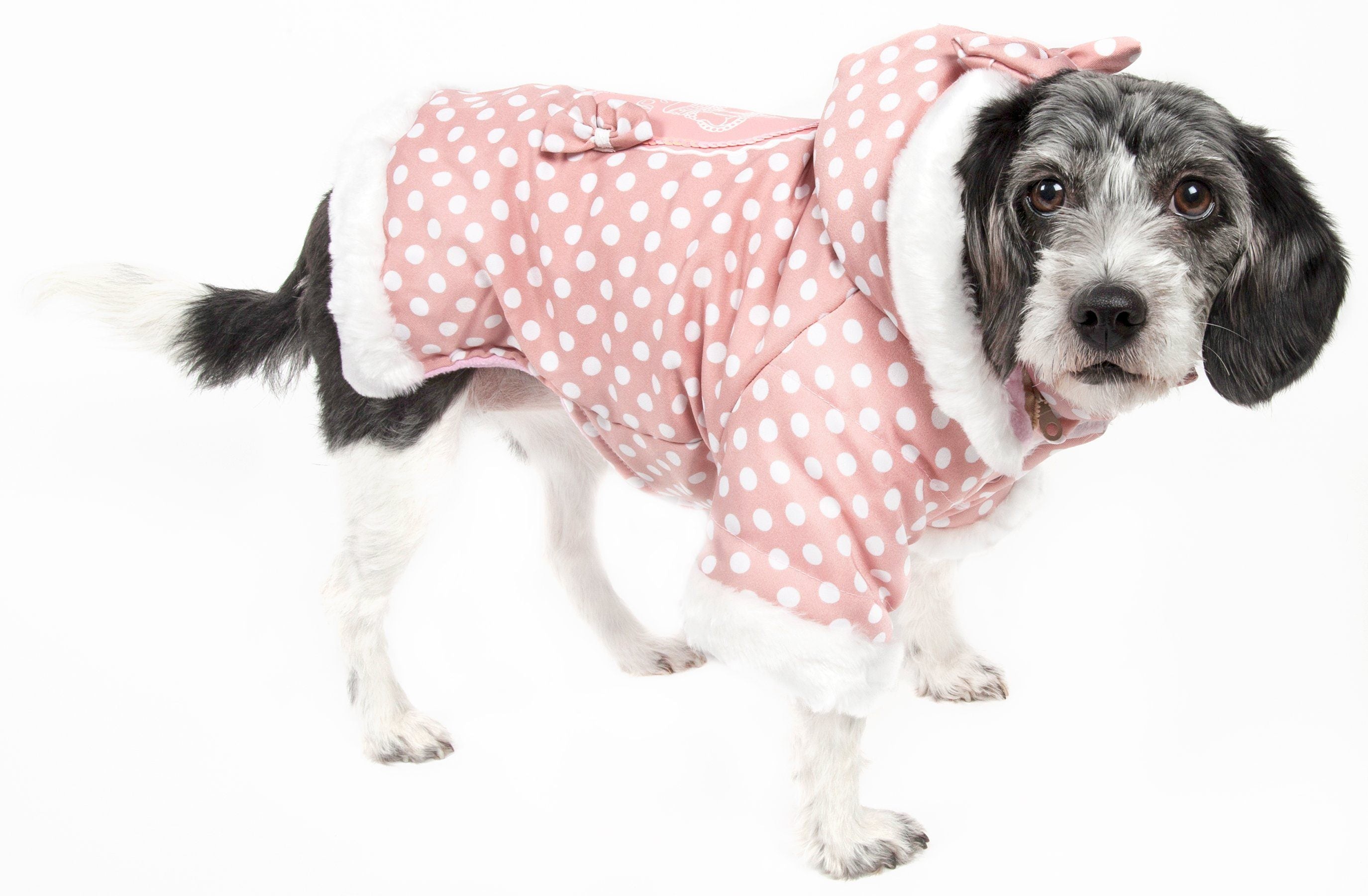 Pet Life ® 'Bow-Couture' Polka-Dot Bowed Insulated Dog Sweater Jacket